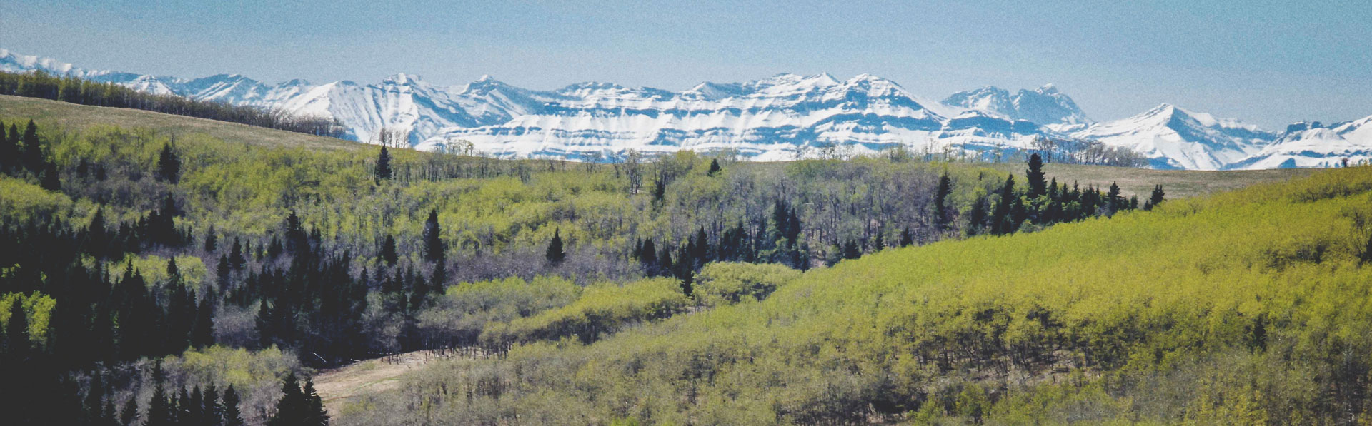 Top Hiking Experiences in Calgary