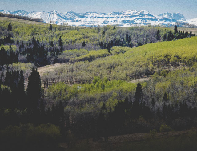 Top Hiking Experiences in Calgary