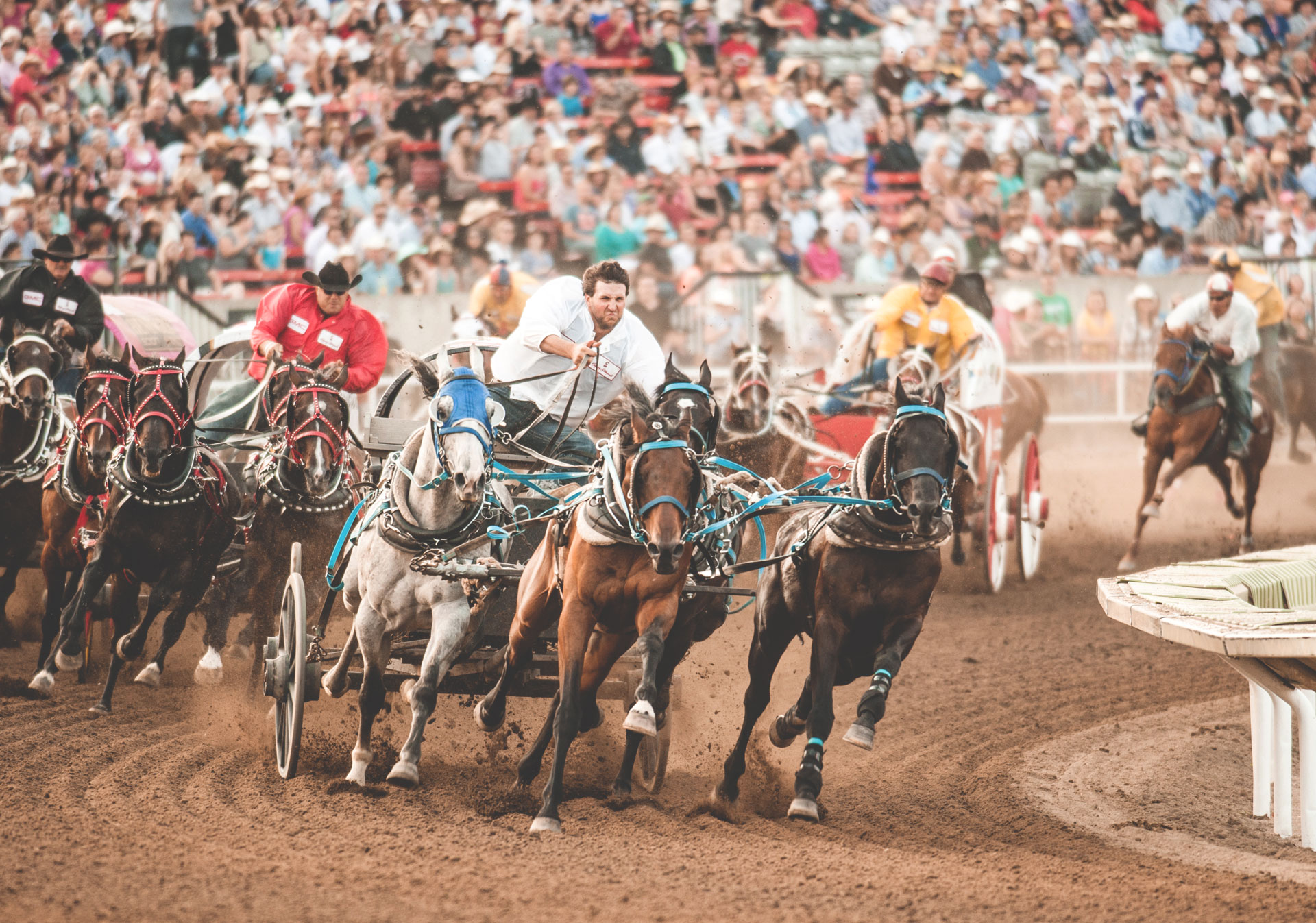 The chuckwagon races are a must-see experience at the Calgary Stampede.