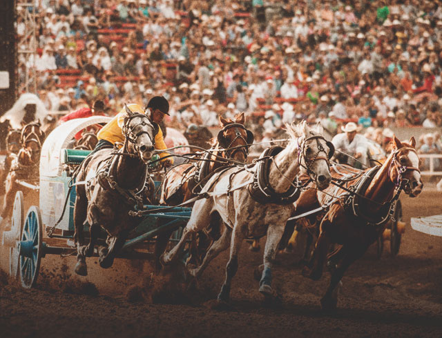 Calgary As Part of Your Rockies Getaway
