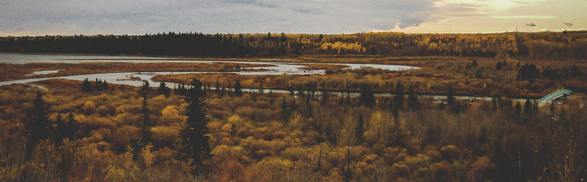 An Insider's Guide to the Top Hiking Experiences in Calgary