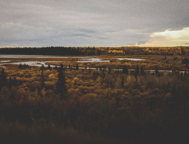 An Insider's Guide to the Top Hiking Experiences in Calgary