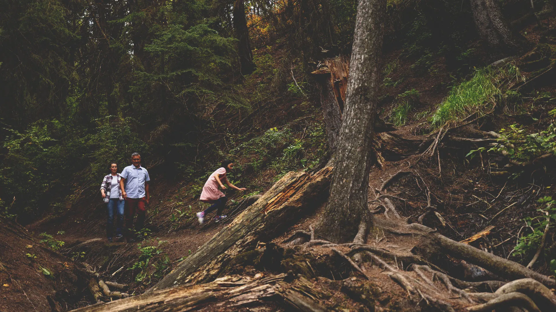 family of three walking along a dirt path with exposed roots along Calgary's Douglas Fir Trail