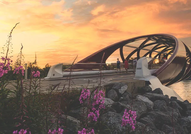 people walk along peace bridge during sunset in Calgary with purple flowers in the foreground