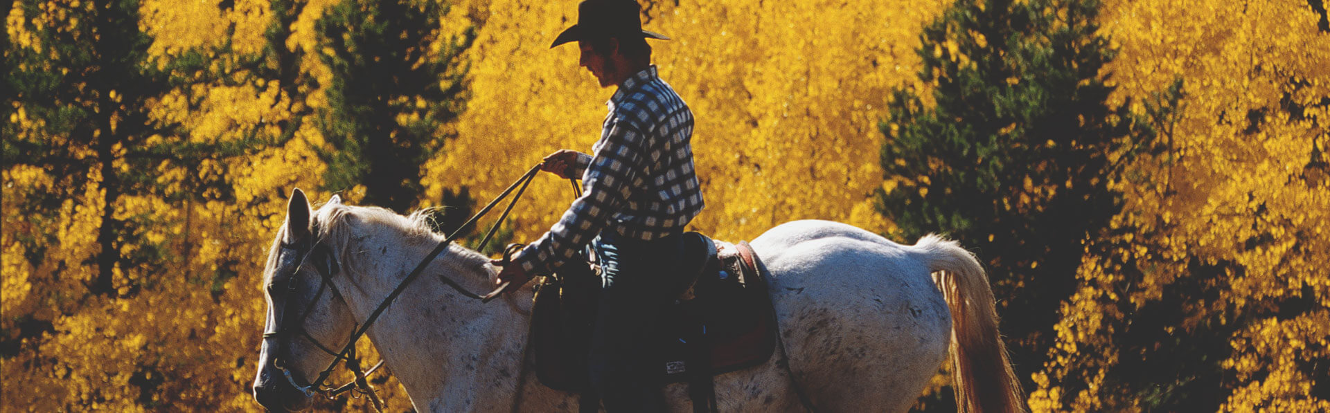 Man riding horse in Alberta