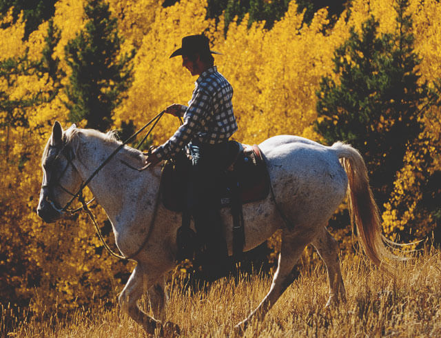 Man riding horse in Alberta