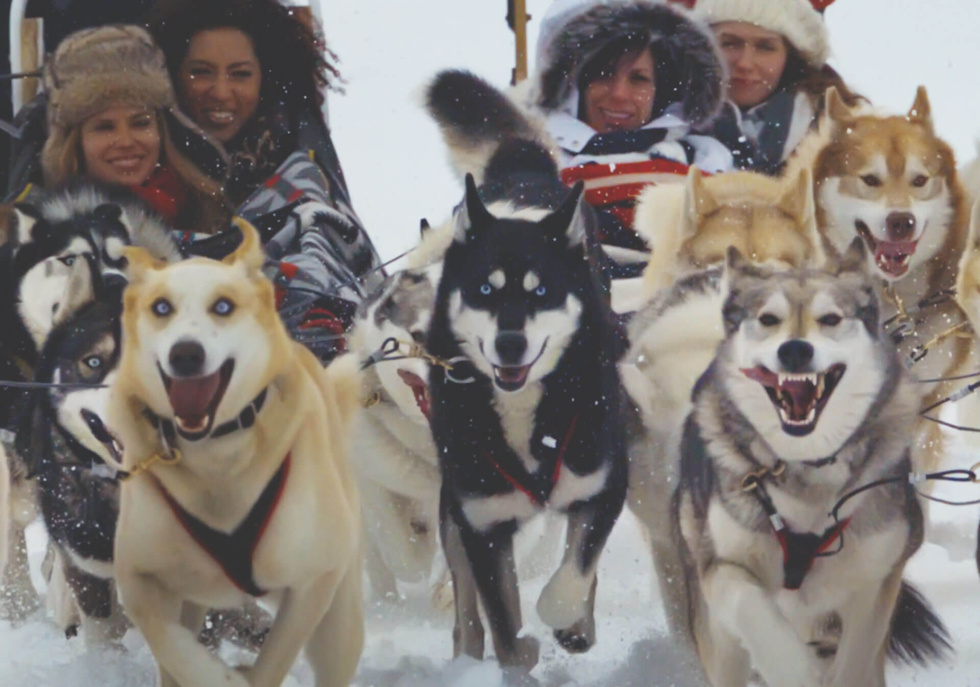 Dog sledding