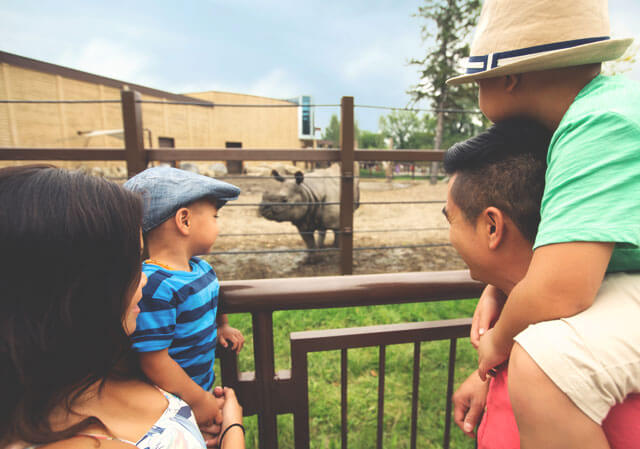 Calgary Zoo