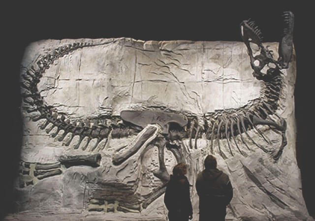 See magnificent exhibits at the Royal Tyrrell Museum