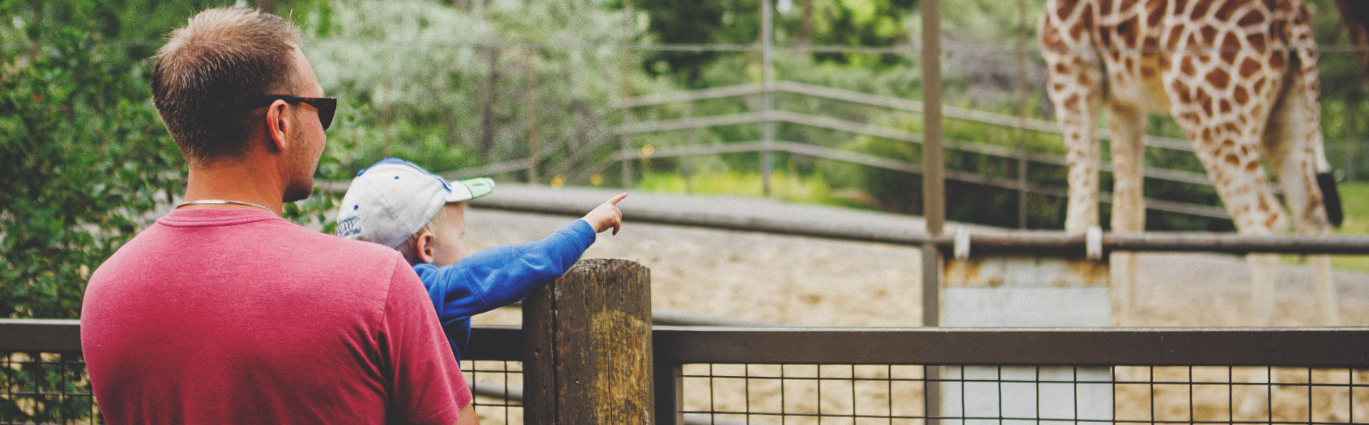 Family looking at the Giraffes of the Calgary Zoo