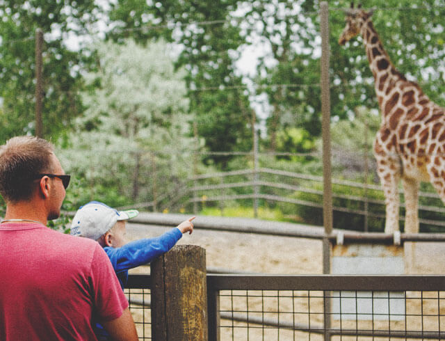 Family looking at the Giraffes of the Calgary Zoo