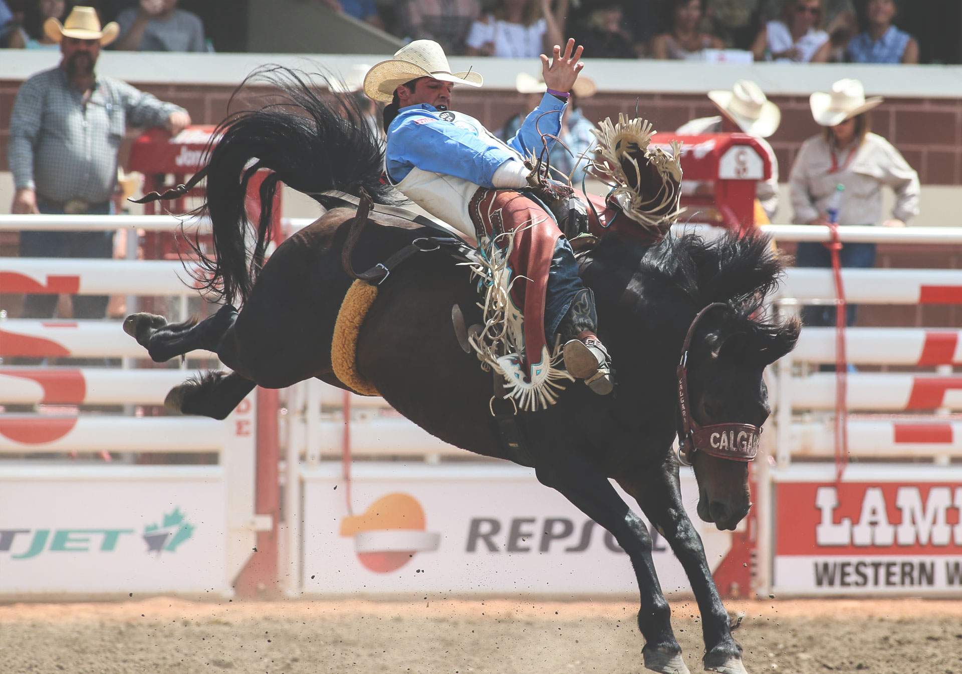 The Calgary Stampede