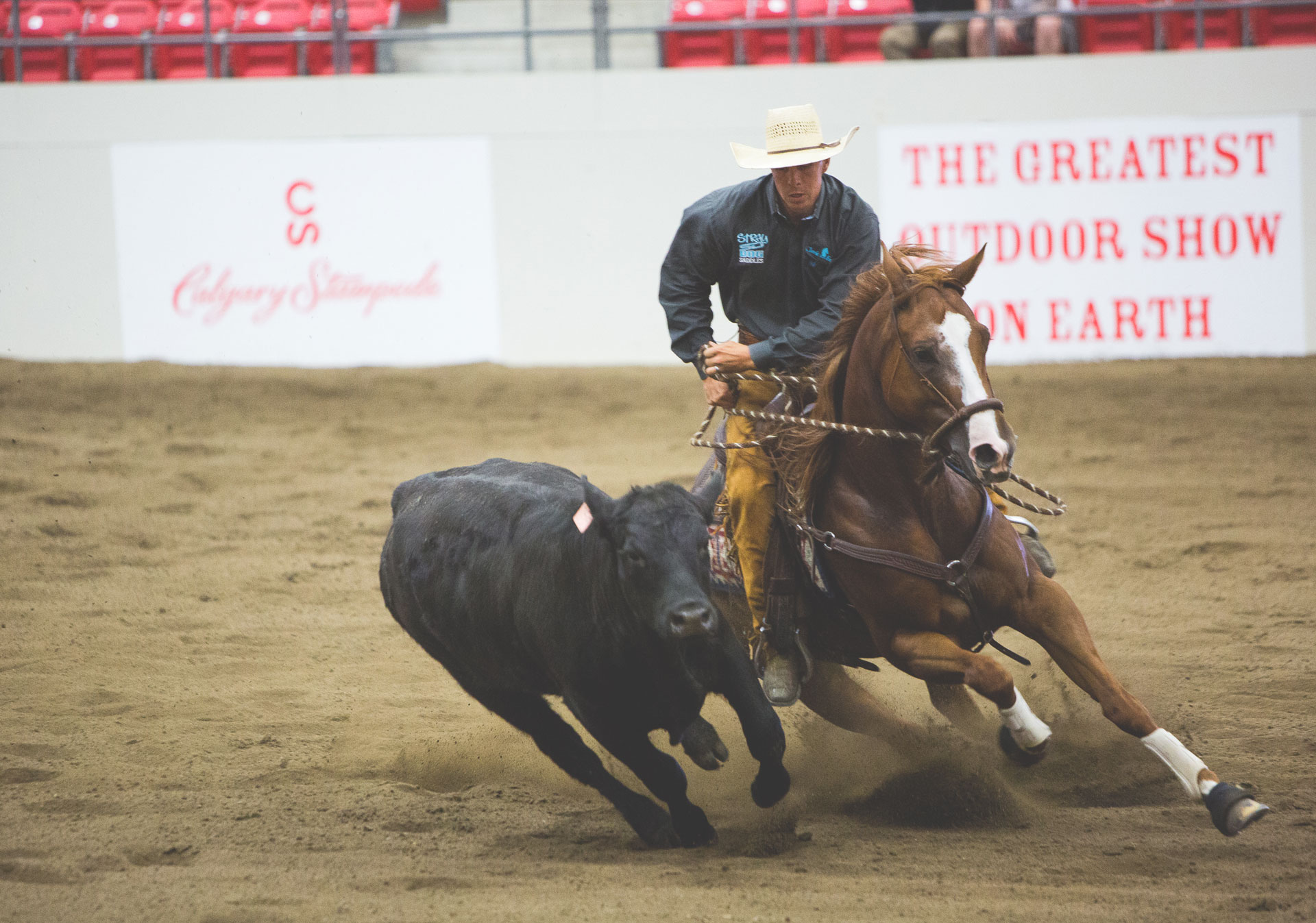 The Calgary Stampede