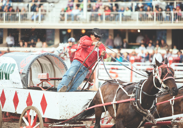 The Calgary Stampede