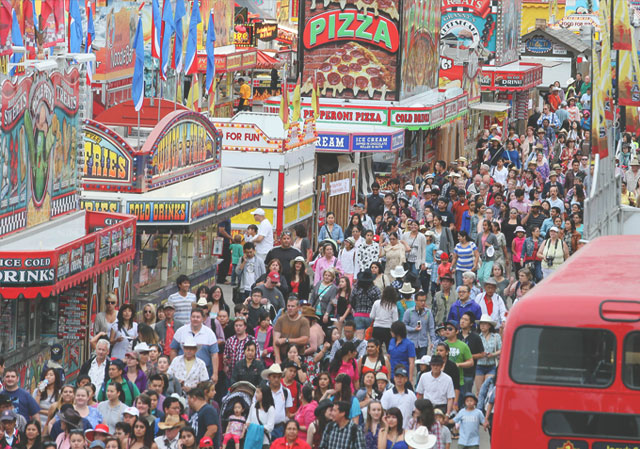 The Calgary Stampede