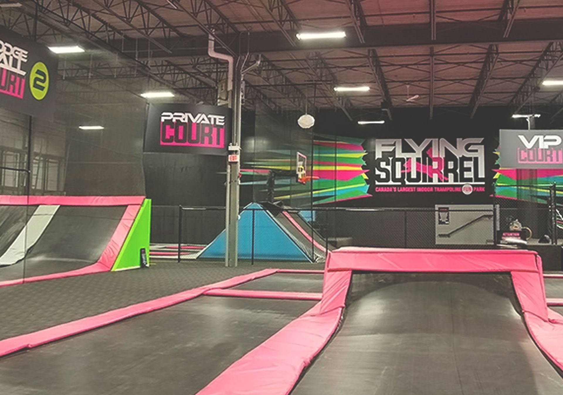 Flying Squirrel Calgary
