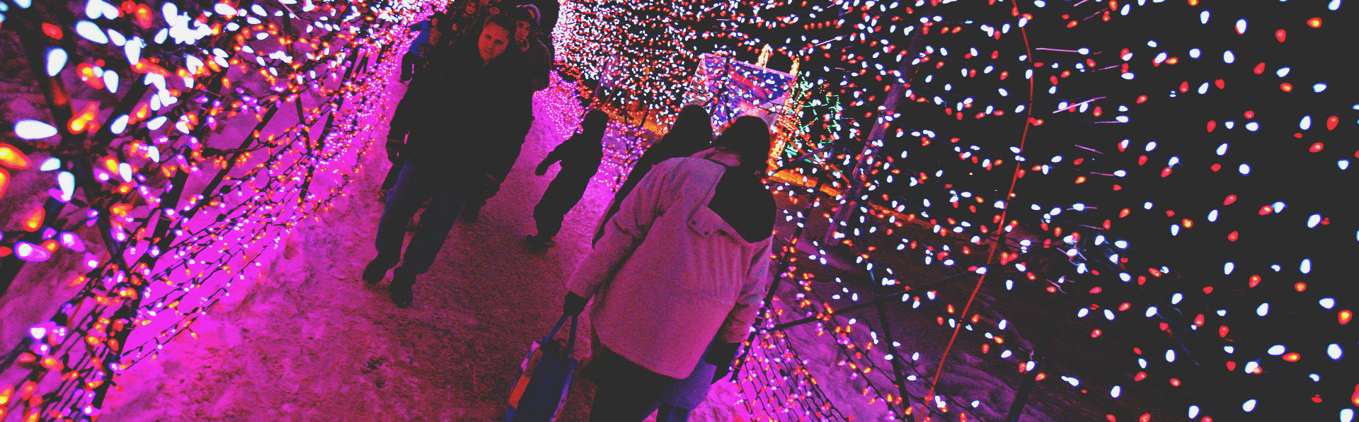 ZOOLIGHTS Calgary Zoo
