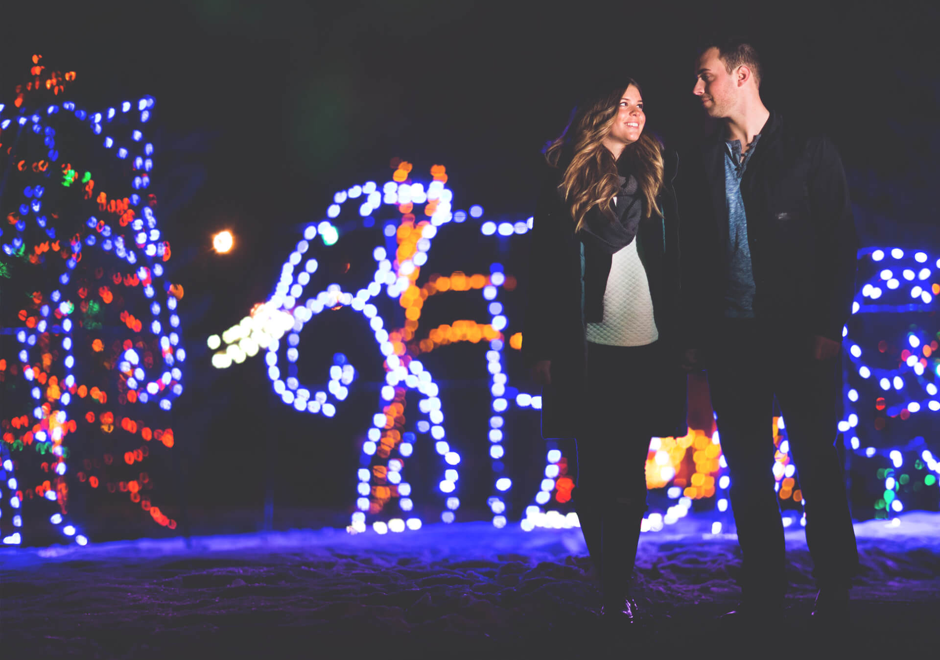 ZOOLIGHTS at the Calgary Zoo