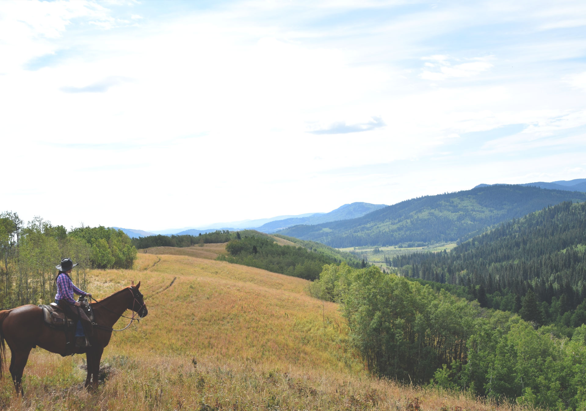 Heartland Ranch Hudson Alberta Canada