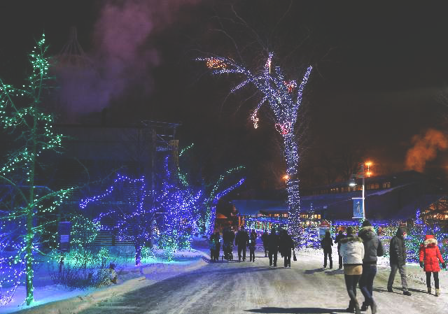 ZOOLIGHTS at the Calgary Zoo