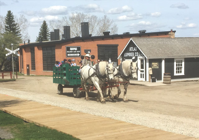 Horse drawn wagons at Heritage Park