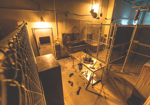 The Locked Room