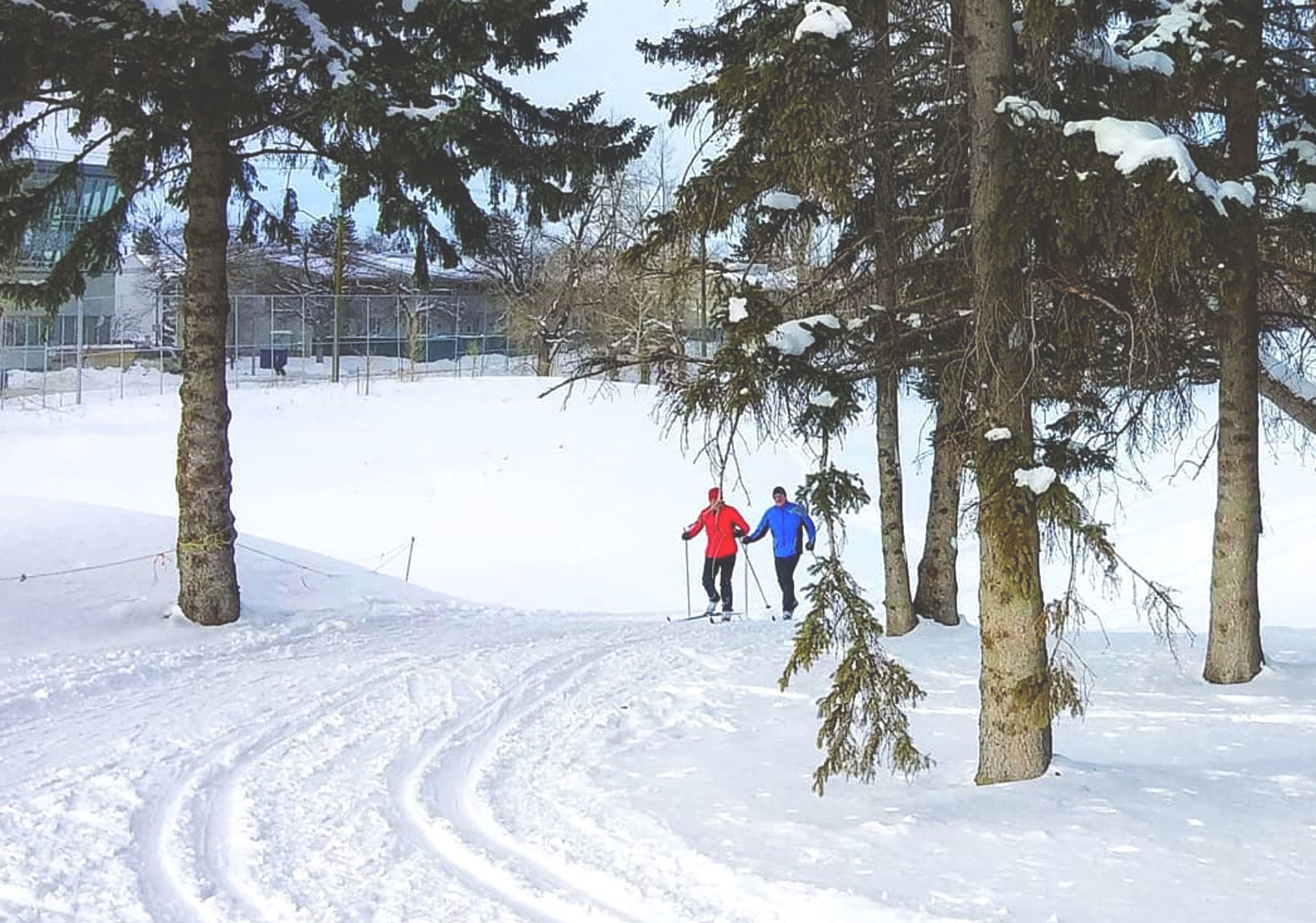 Cross country skiing at the Shaganappi Point Golf Course in Calgary (Photo credit: @dabertime on Instagram).