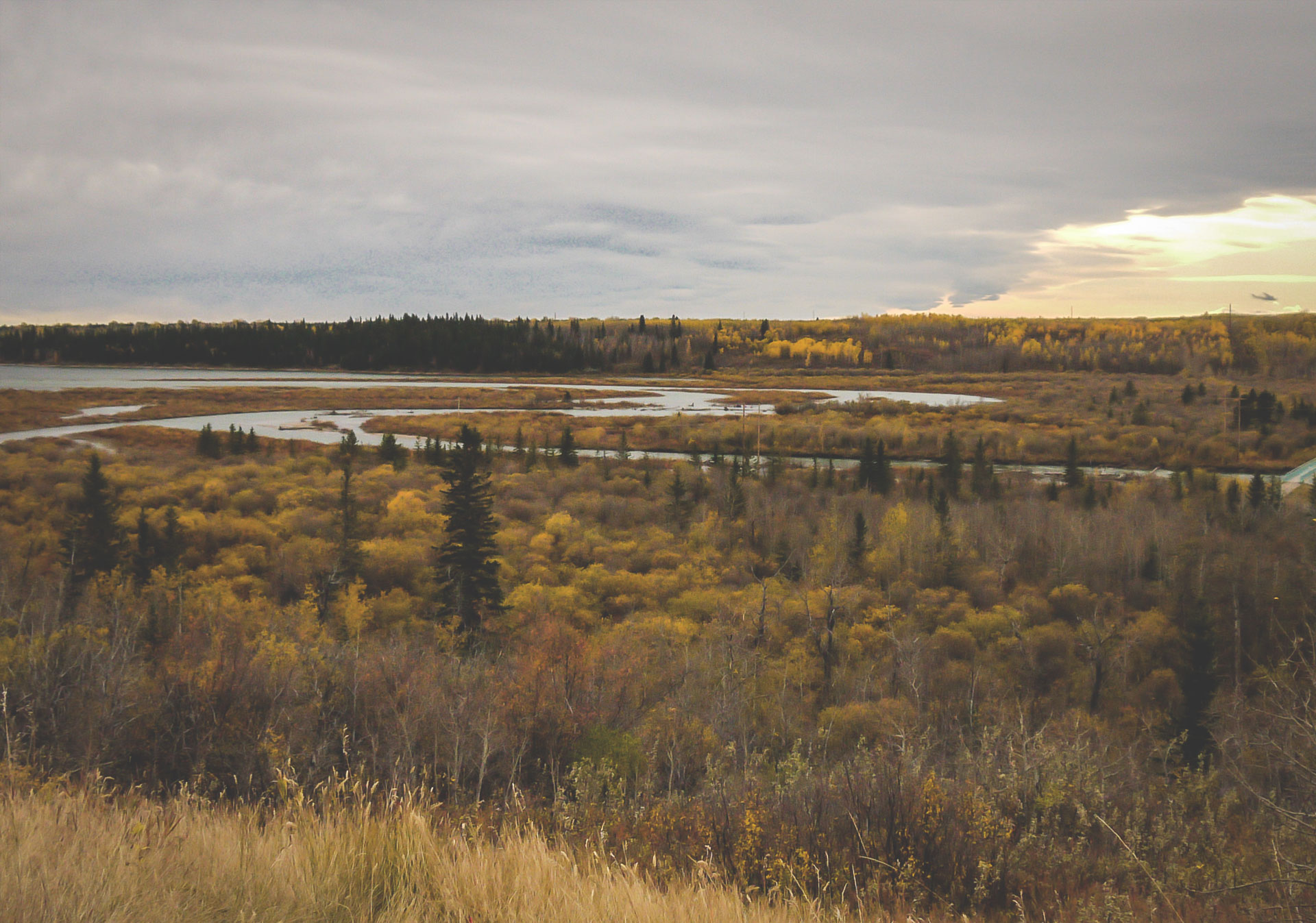 The Weaselhead Flats are an urban paradise on the western edge of Calgary