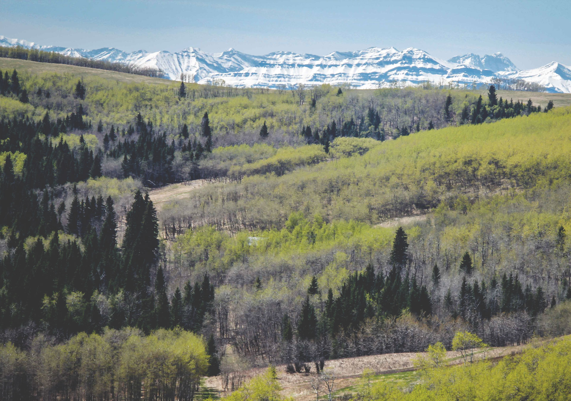 The Ann and Sandy Cross Conservation Area in the foothills