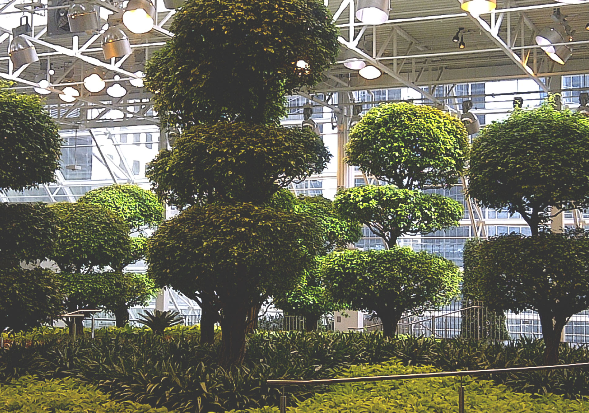 Devonian Gardens is a city park located in the top floor of the CORE Shopping Centre