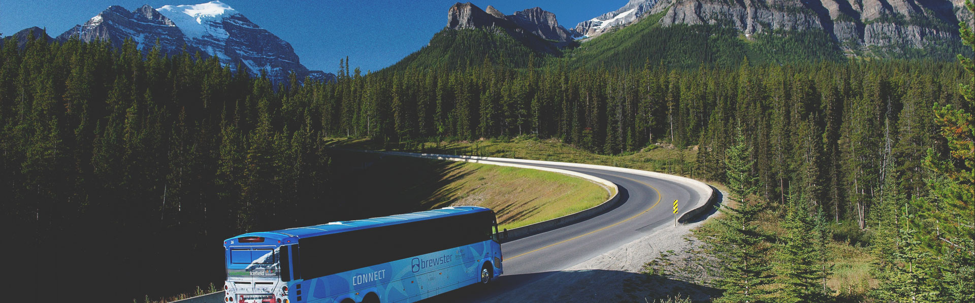 A bus driving through the mountains around Calgary taking people on a tour