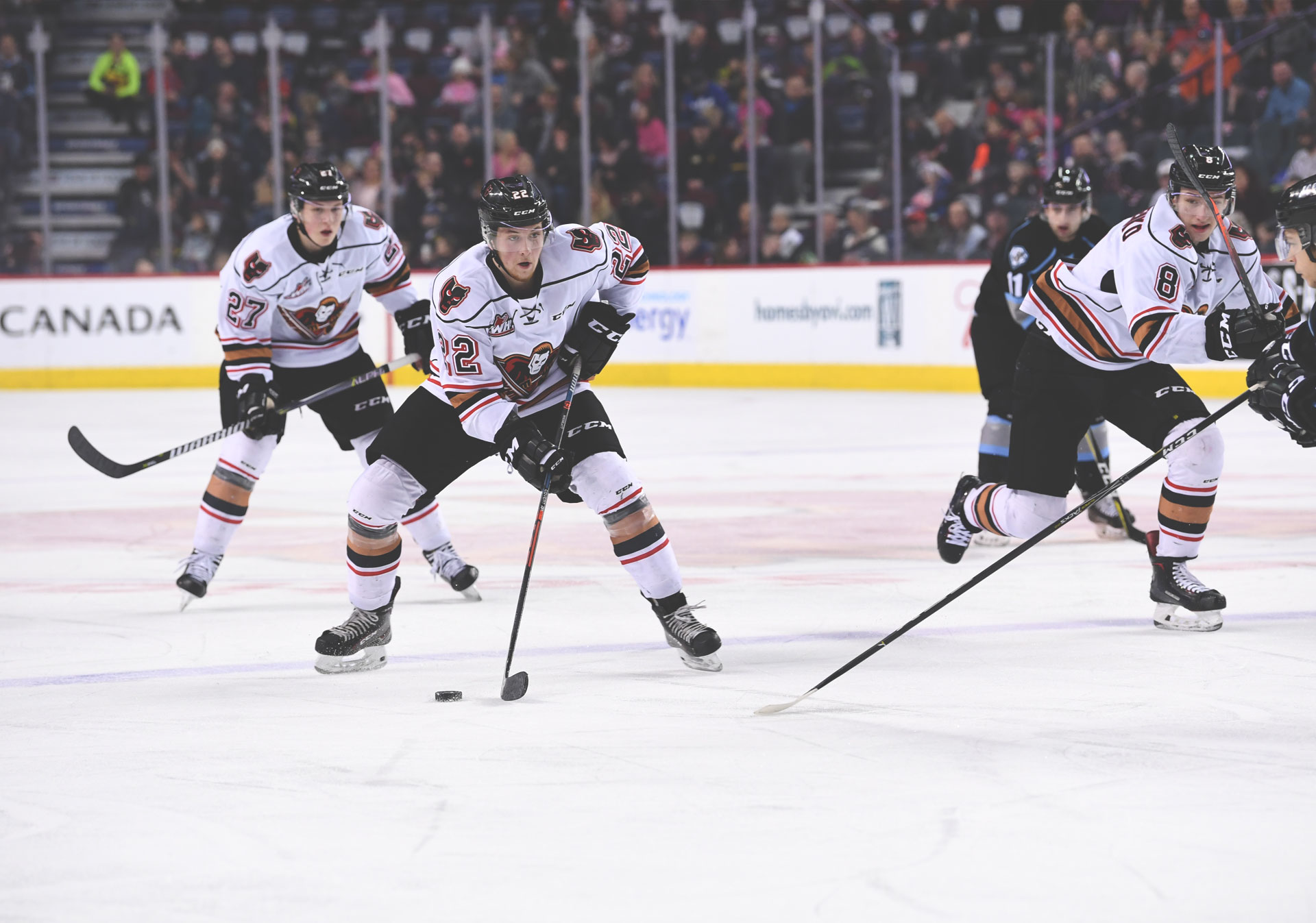 WHL action with the Calgary Hitmen at the Scotiabank Saddledome.