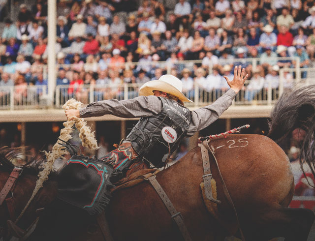 Everything You Need to Know About the Calgary Stampede