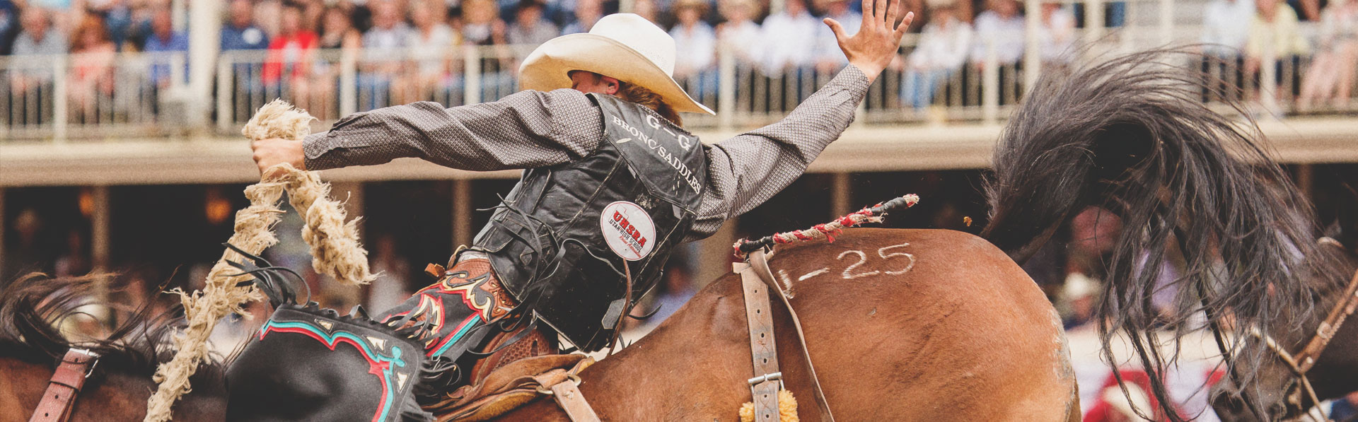 Calgary Stampede Seating Chart Rodeo