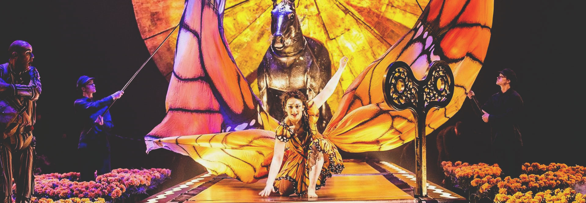 Cirque du Soleil - LUZIA