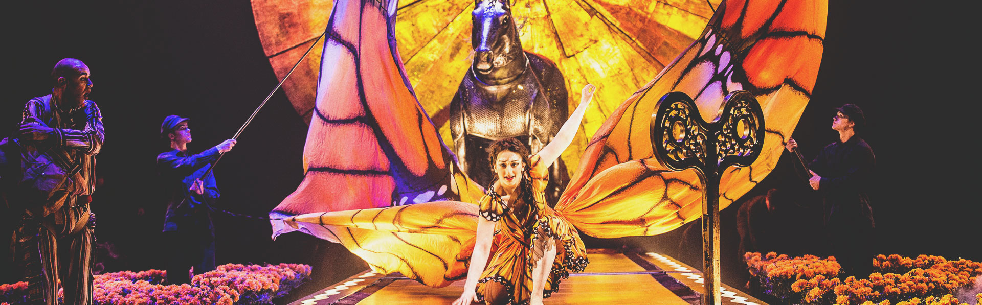 Cirque du Soleil