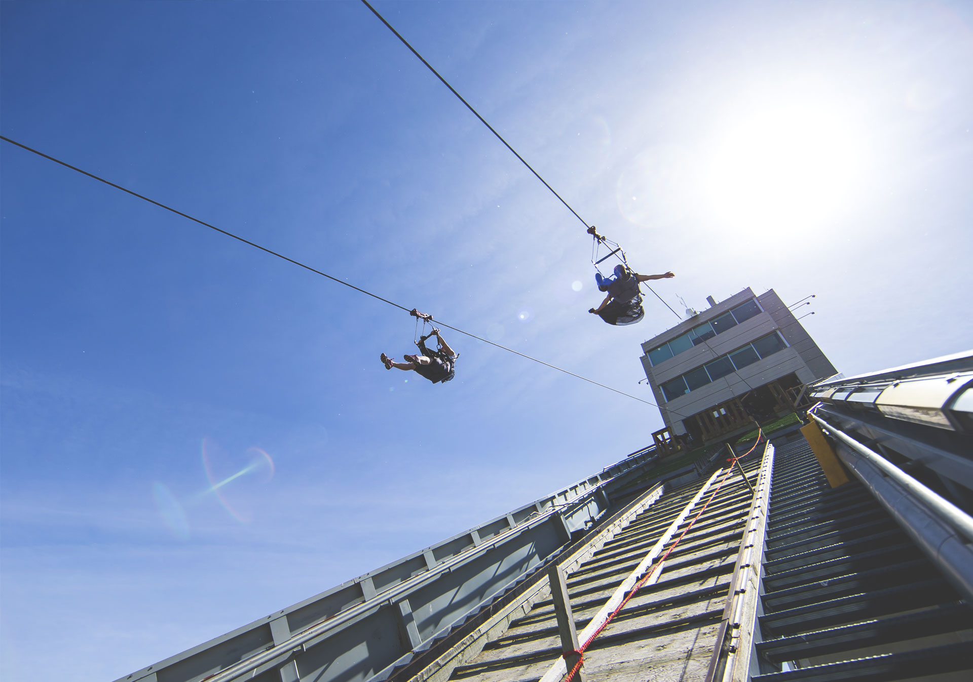 Go for a ride on the Monster Zipline at WinSport.