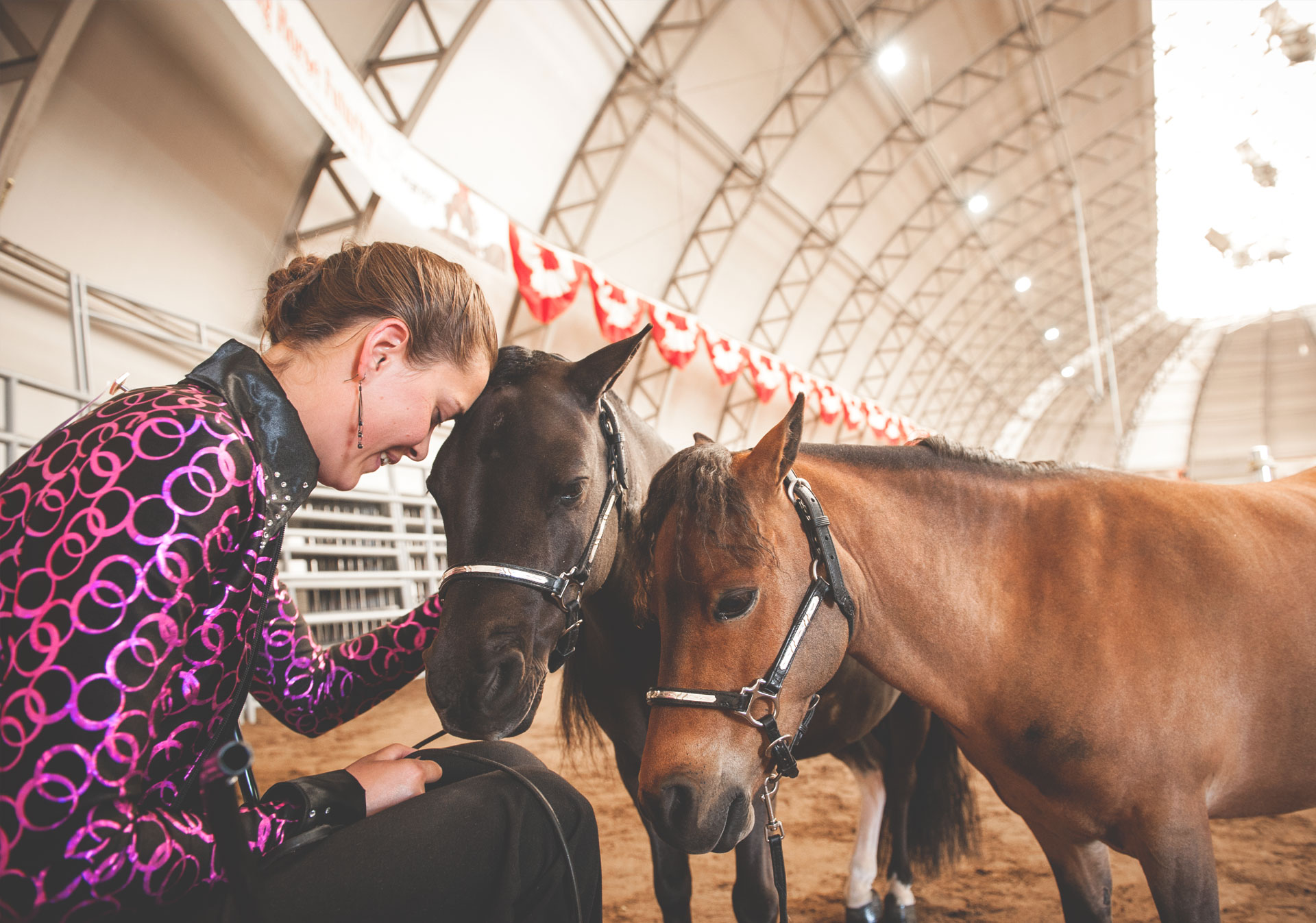 World-class agriculture showcases and competitions at the Calgary Stampede