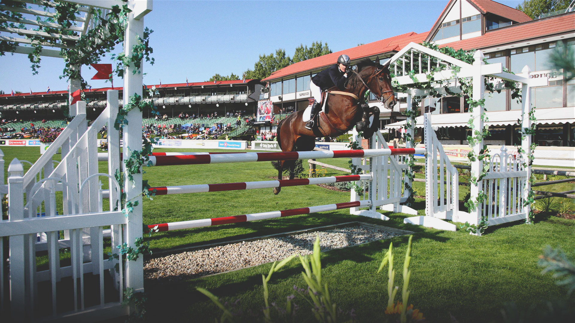 Spruce Meadows