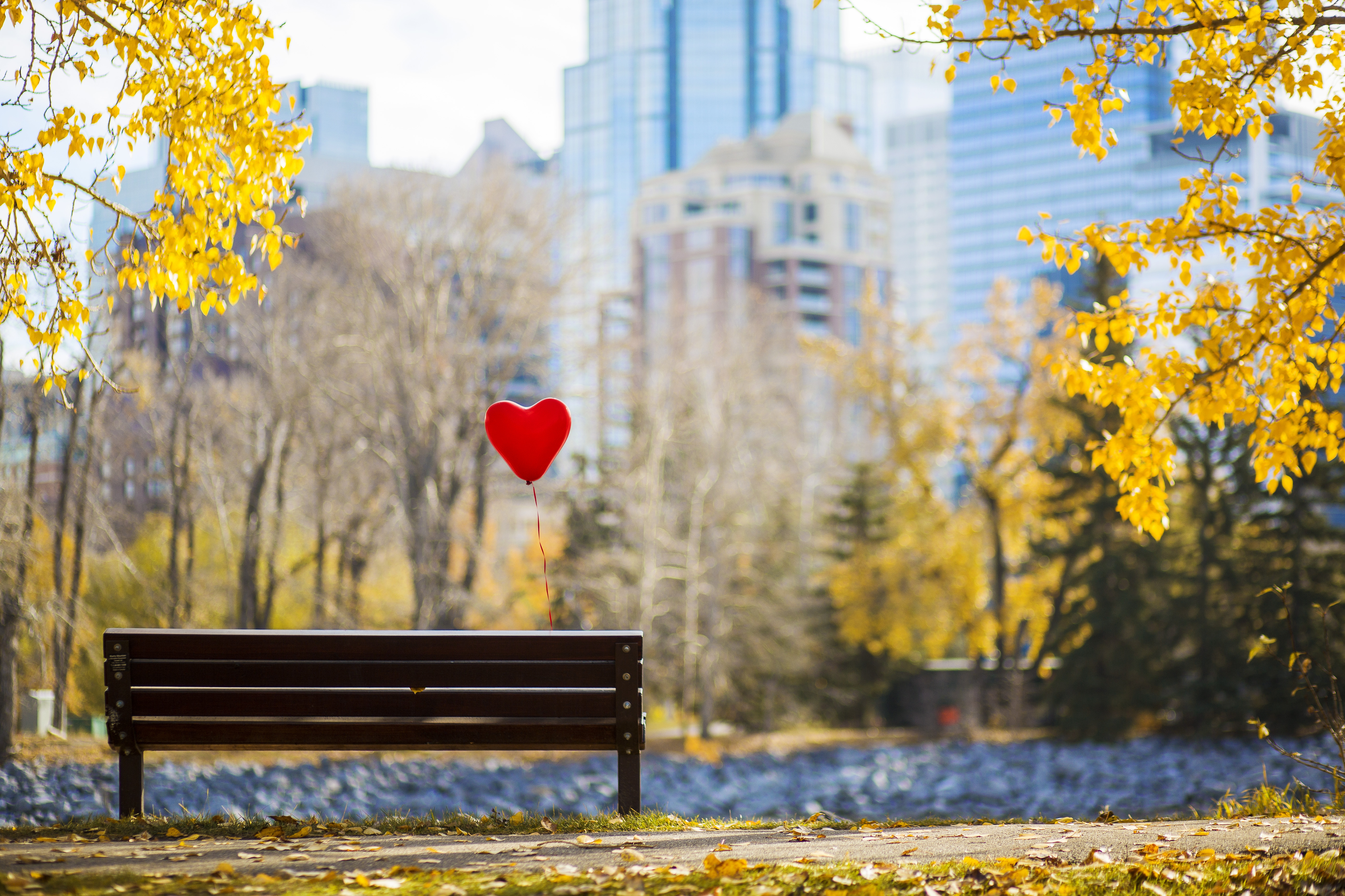#LoveYYC Day