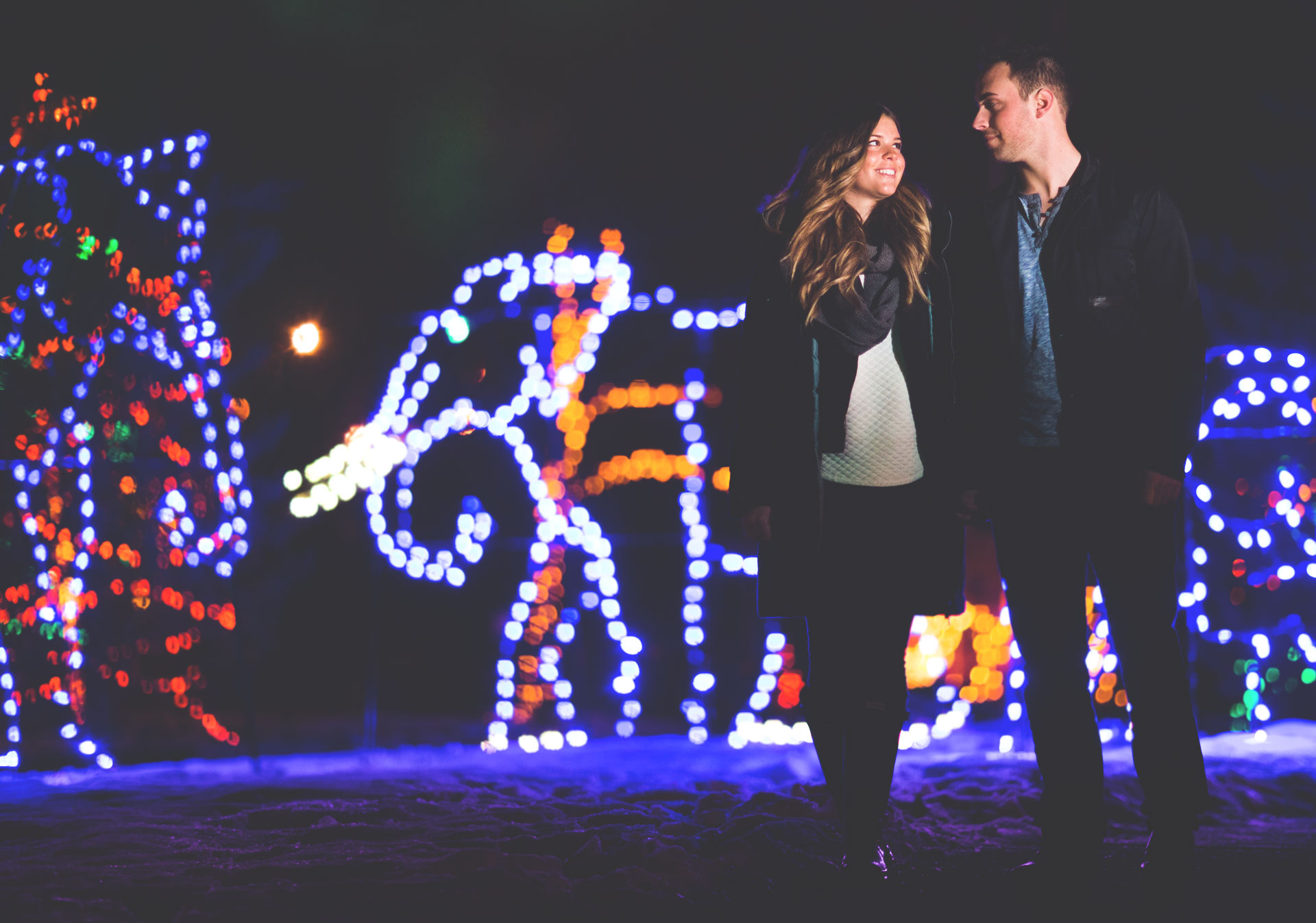 ZOOLIGHTS at the Calgary Zoo.