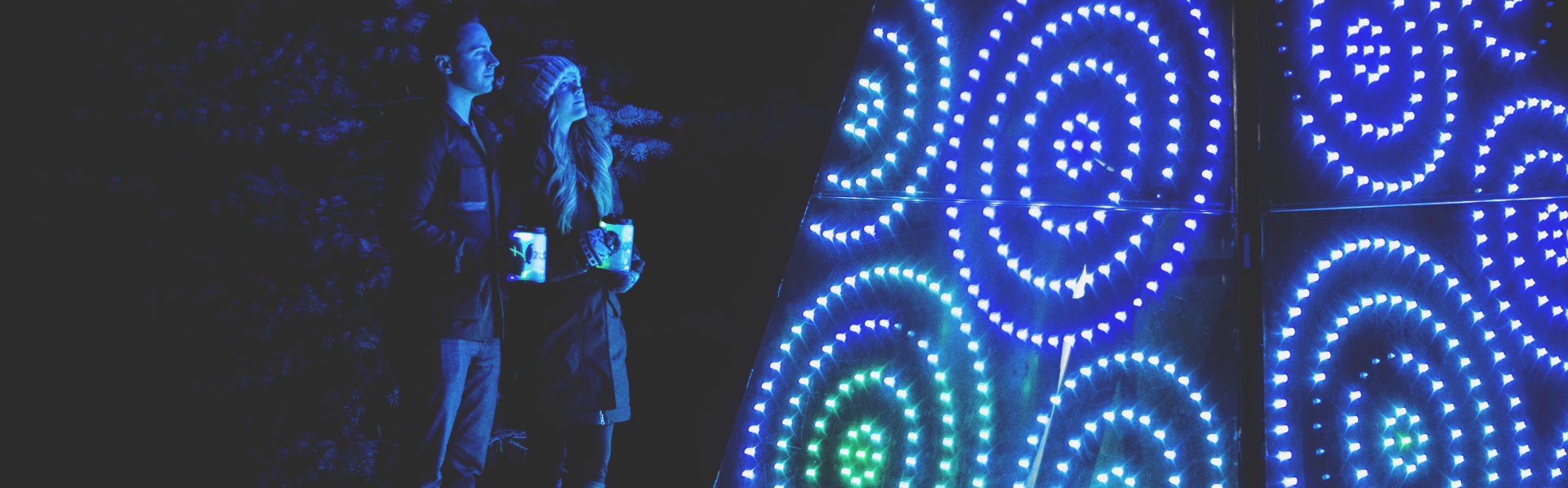ZOOLIGHTS