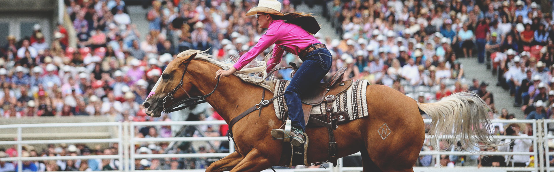 Calgary Stampede