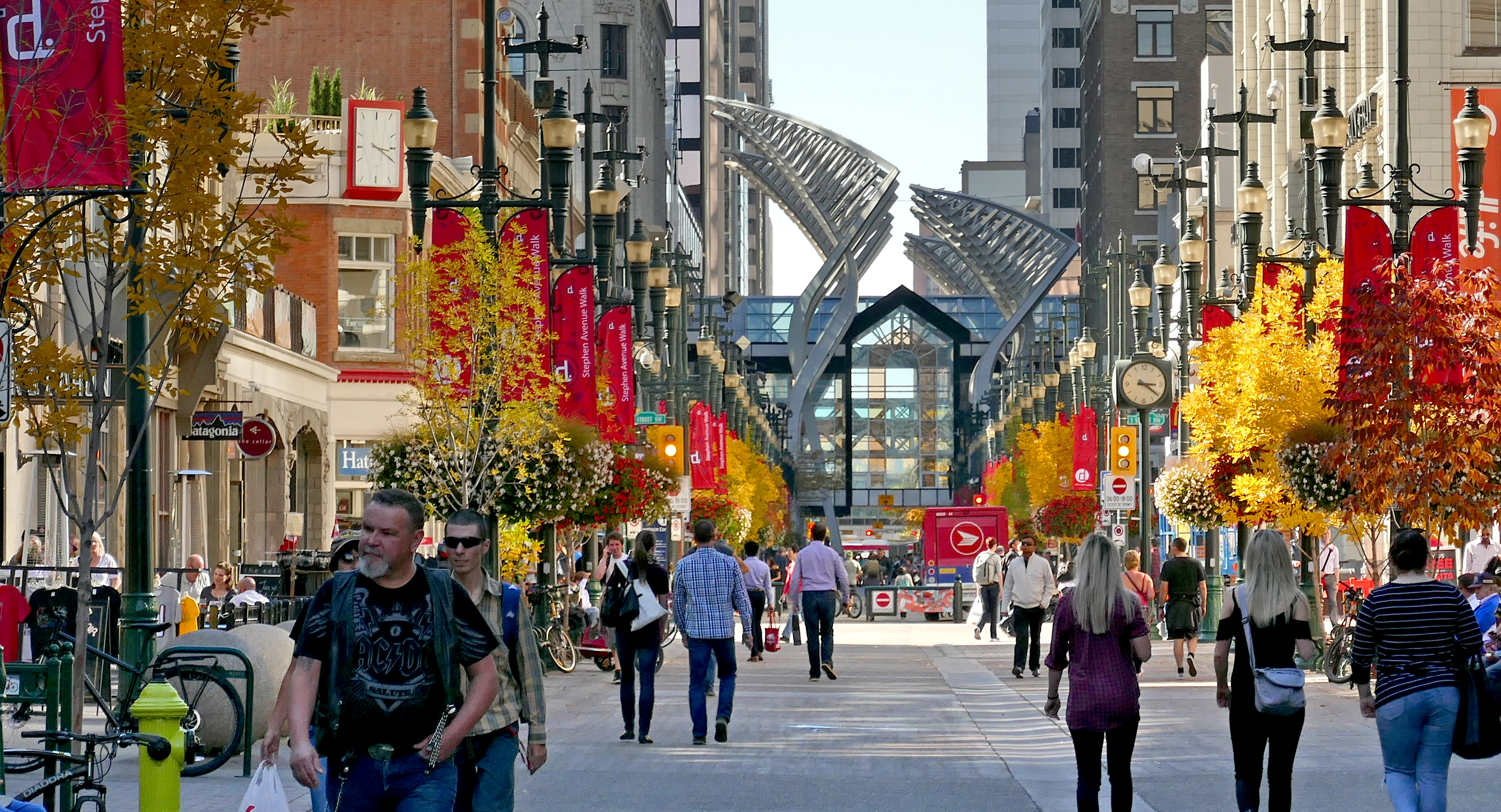 Fall in Calgary