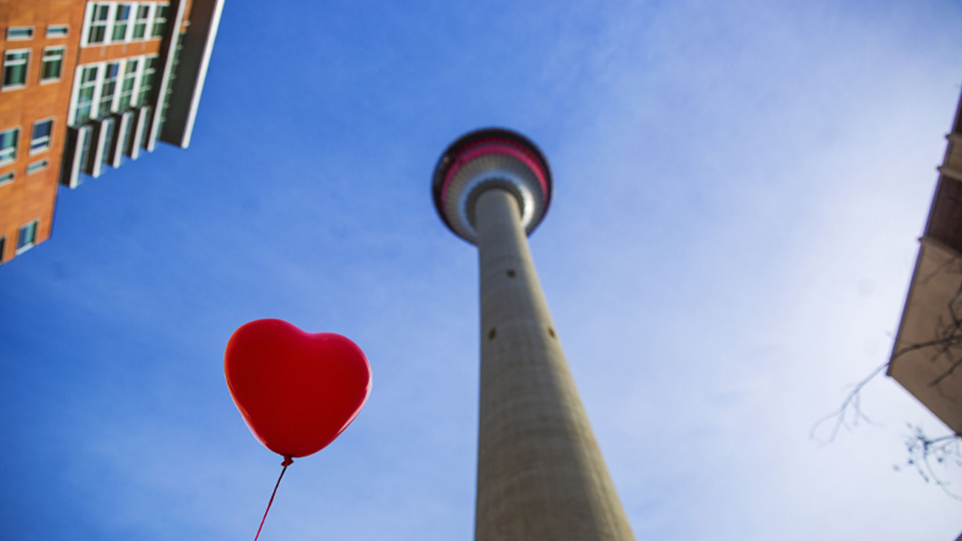 LoveYYC