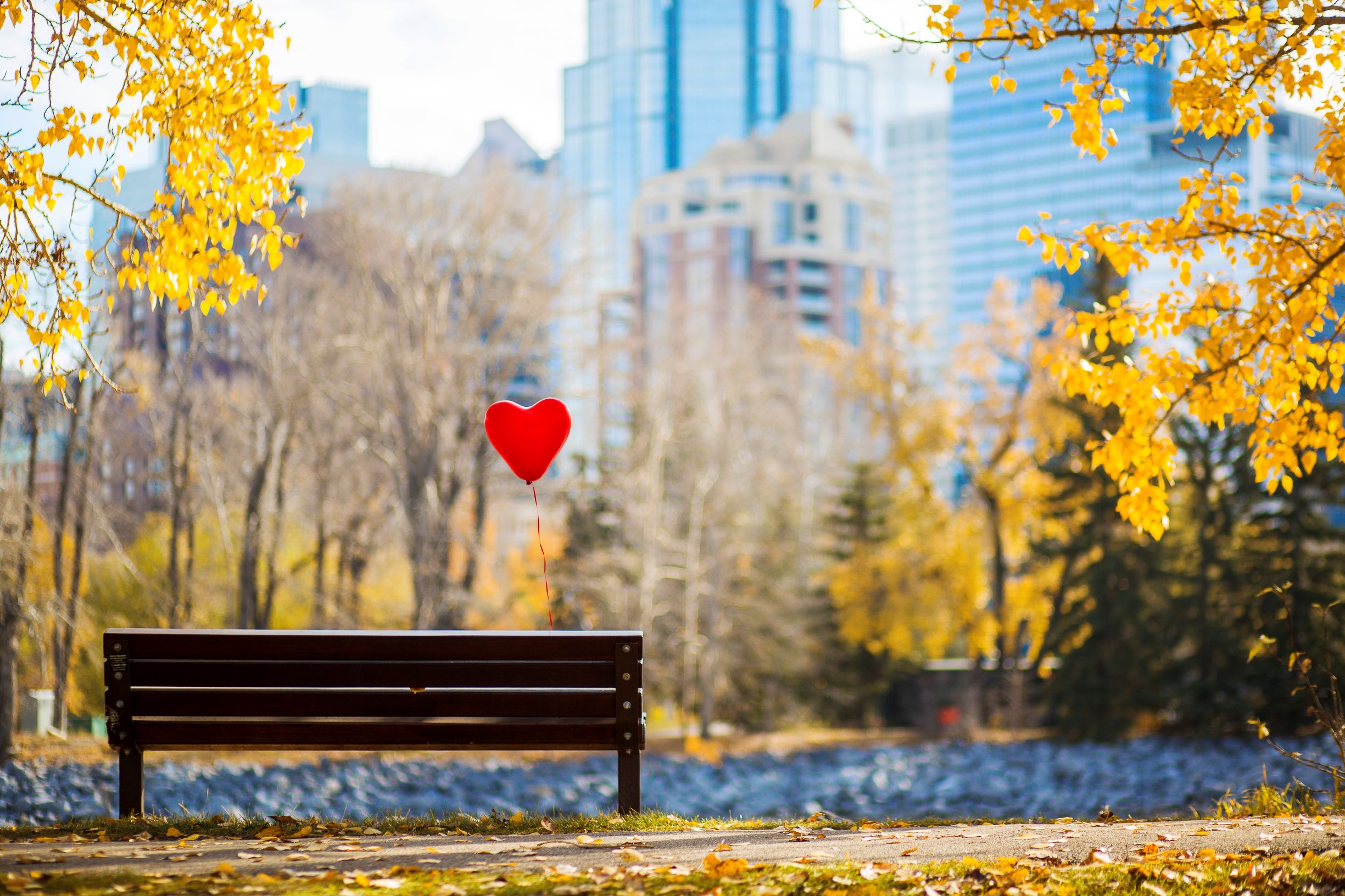 LoveYYC Bench