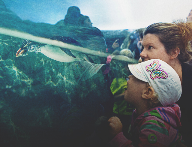 Calgary Zoo