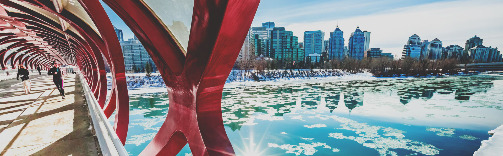 Peace Bridge Calgary