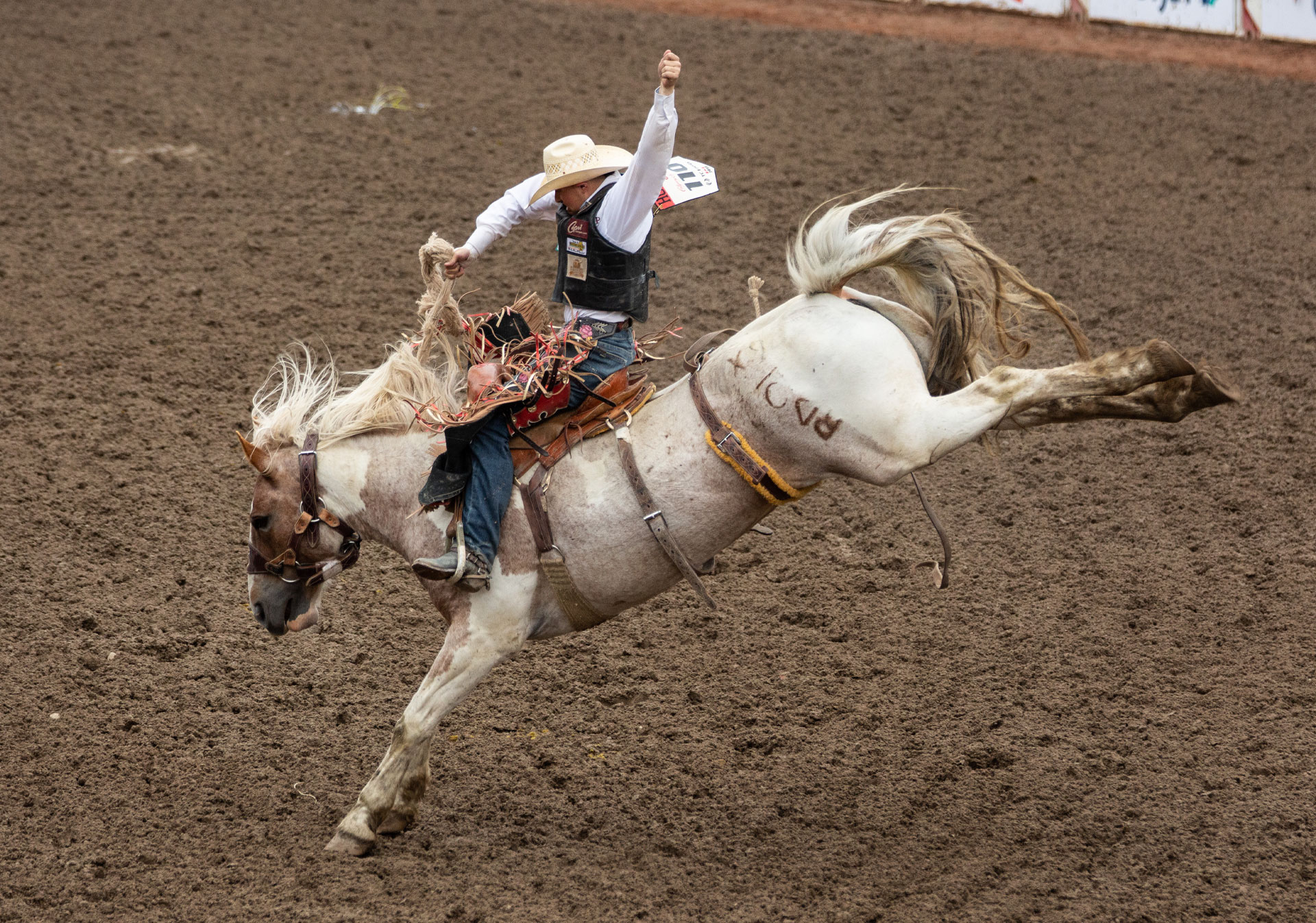 Rodeo at the Calgary Stampede (Photo credit: Shaun Robinson/Calgary Stampede).