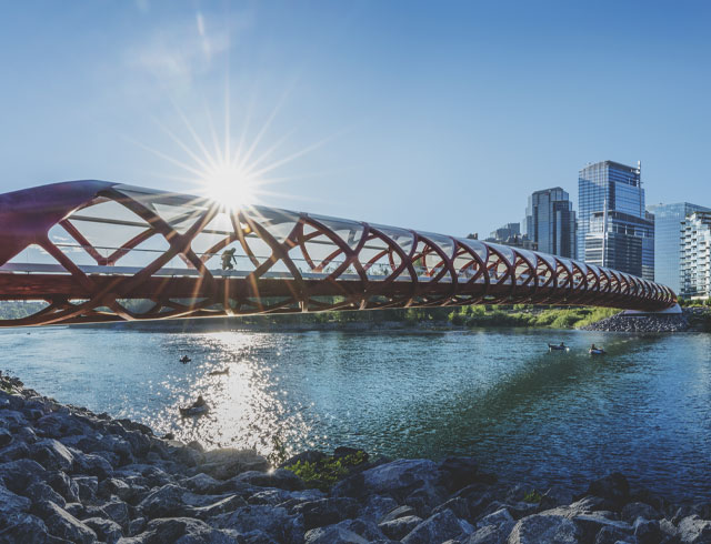 Peace Bridge in Calgary during the summer